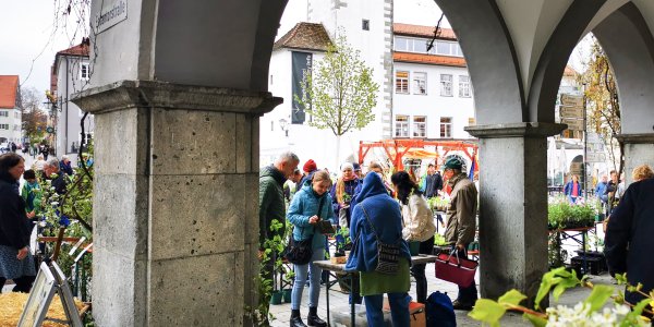 Neben Gemüse- und Kräuterpflanzen – vielfach aus biologischem oder Demeteranbau – finden sich Naturkosmetik und Heilsalben, Kräu
