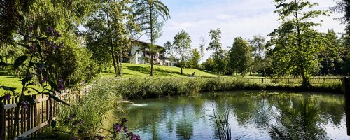 Blick auf einen Weiher mit Bäumen im Kurpark bei der Klinik Alpenblick in Neutrauchburg.