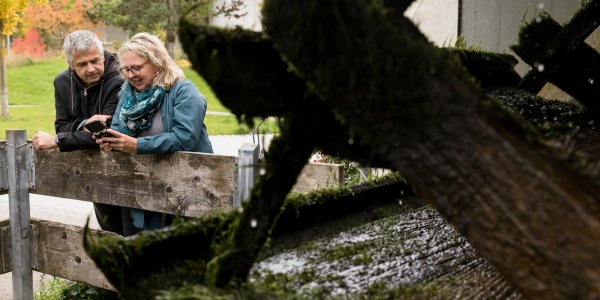 Digitaler Streifzug an der Unteren Mühle Der digitale Streifzug führt unter anderem zur Unteren Mühle.