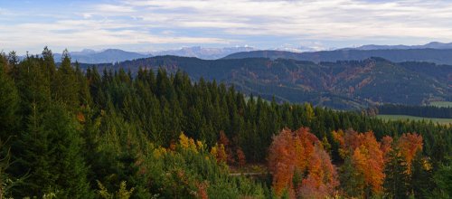 Panoramablick über Herbstwald der Adelegg