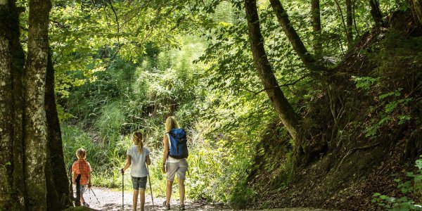 Familie wandert im Eistobel