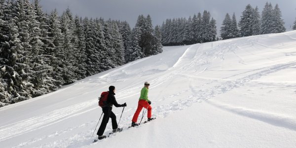 Schneeschuhwanderer auf dem Weg zum Gipfel der Adelegg