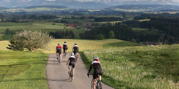 Rennradtouren mit Alpenpanorama bei Isny im Allgäu