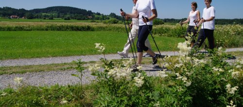 Nordic Walkling auf Feldwegen in den Bodenmösern in Isny
