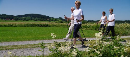 Nordic Walkling auf Feldwegen in den Bodenmösern in Isny