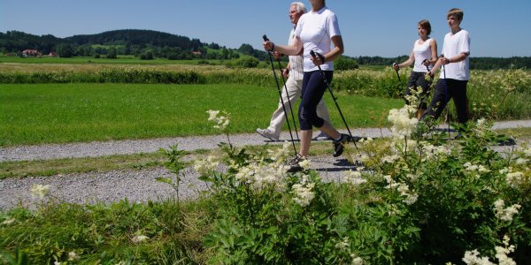 Nordic Walkling auf Feldwegen in den Bodenmösern in Isny