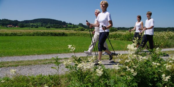 Nordic Walkling auf Feldwegen in den Bodenmösern in Isny