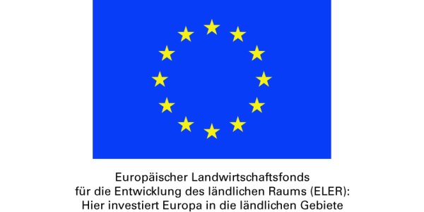 EU-Logo mit Förderhinweis