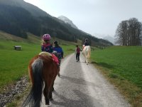Geführter Ausritt mit toller Aussicht