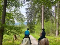 Herrlicher Ausritt mit Ginny und Yarkari