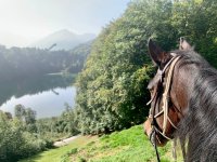 Unser lieber Beauty am Freibergsee
