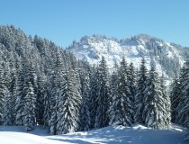 Wintermrchen-bad-hindelang