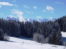 Gipfelblick Allgäuer Hauptkamm