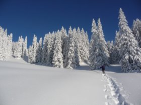 Schneeschuhtour im Allgäu