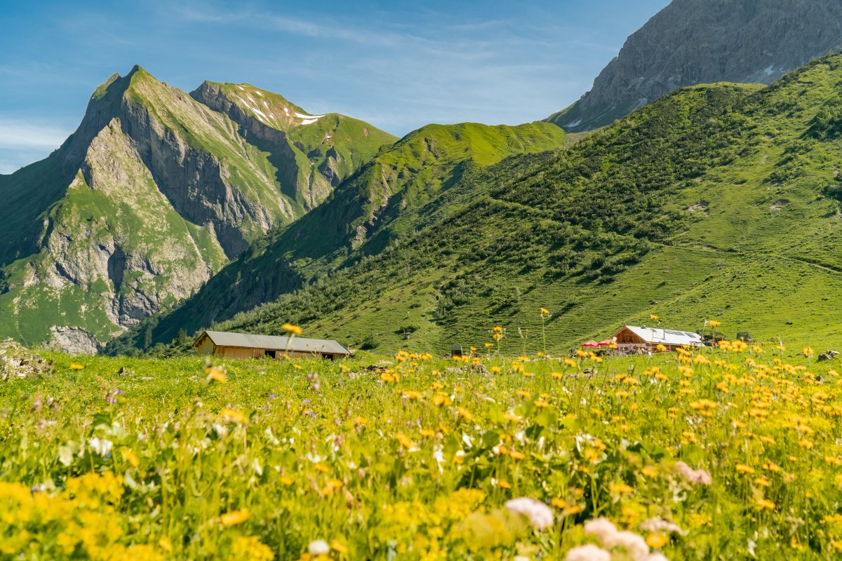 Käseralpe – Oberstdorf