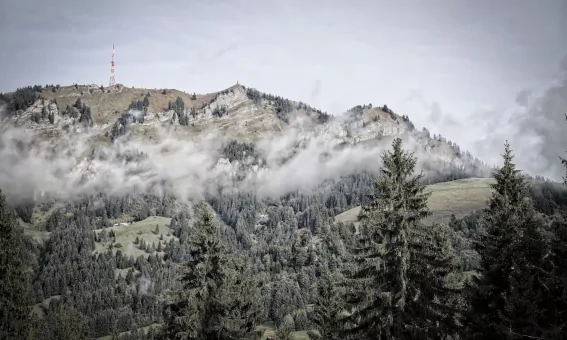 Der-Grünten-im-Morgen-Nebel.jpg