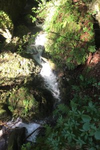 Wanderung durch die Hinanger Wasserfälle bei Sonthofen