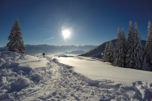 Skifahren in Ofterschwang