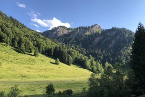 Durch das Autal in Richtung  Alpe Scheidwang