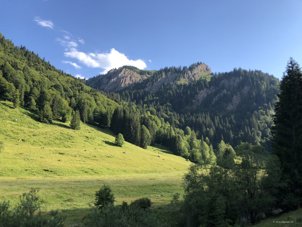 Durch das Autal in Richtung Alpe Scheidwang