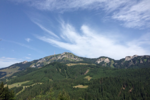 Durch den Berghofer Wald auf das Bildstöckle