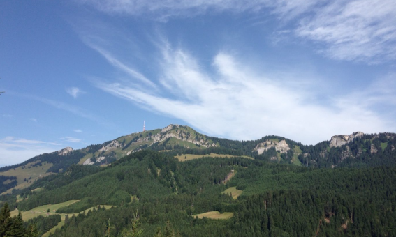 Durch den Berghofer Wald auf das Bildstöckle