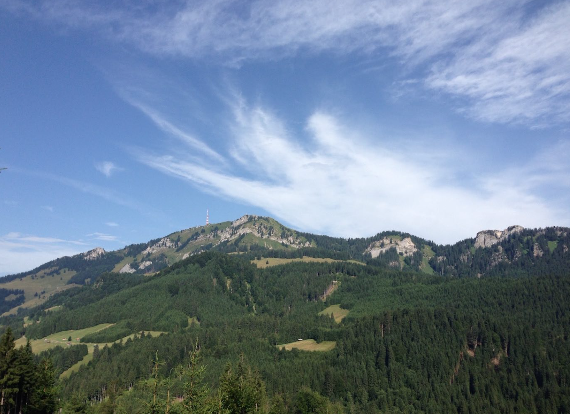 Durch den Berghofer Wald auf das Bildstöckle