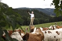Kaisers Tanne Wandern