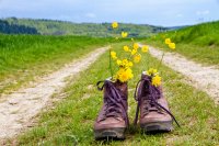 Kaisers Tanne Wandern I