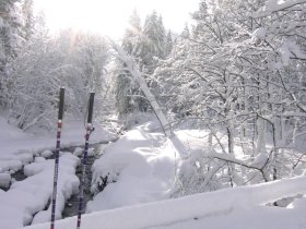 Bolgenach in Balderschwang