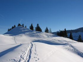 Auf Schneeschuhen durchs Tal
