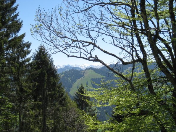 ... dem Himmel so nah! Bei so tollen Ausblicken schlägt das Wanderherz höher.
