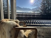 Aussicht Klopfer Haus Oberstdorf