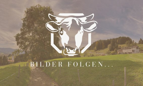Bilder-folgen-02