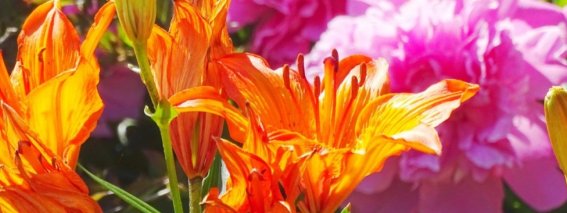 Kurhotel-jakob-fuessen-im-allgaeu-unterkunft-angebote-header-02