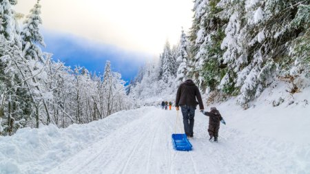 Kurhotel-jakob-fuessen-im-allgaeu-aktivitaeten-winter-schlitten