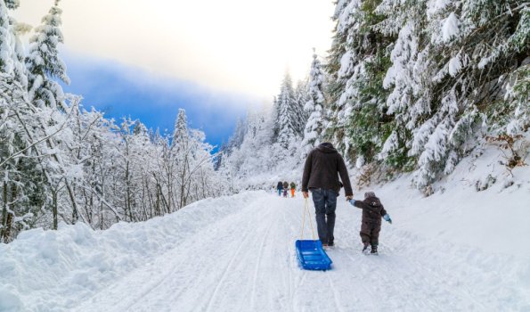 Kurhotel-jakob-fuessen-im-allgaeu-aktivitaeten-winter-schlitten