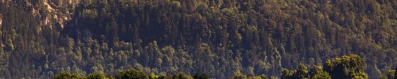 Kurhotel-jakob-fuessen-im-allgaeu-aktivitaeten-sommer-schloss-neuschwanstein-see