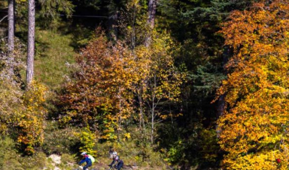 Kurhotel-jakob-fuessen-im-allgaeu-aktivitaeten-rad-fahren