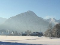 Blick vom Haus 2