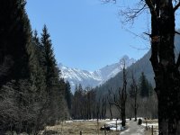 Ahornallee Trettachtal - Blick Trettachspitze