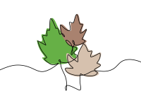 Ahorn