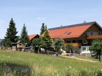 Sommer am Landhaus