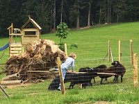 Kletterhaus und Tiere