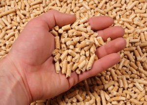 Pellet