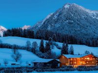 Winterhaus-Ausschnitt