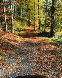 Herbst