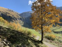 Herbst Dietersbach Herbst Dietersbach