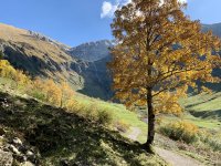 Herbst neu
