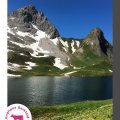 Einzeln rappensee